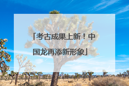 考古成果上新！中国龙再添新形象