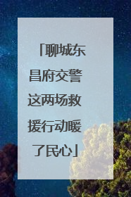 聊城东昌府交警这两场救援行动暖了民心