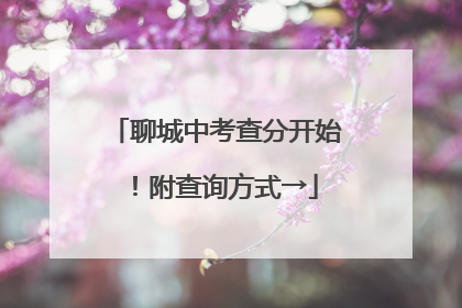 聊城中考查分开始！附查询方式→