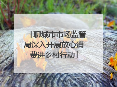 聊城市市场监管局深入开展放心消费进乡村行动