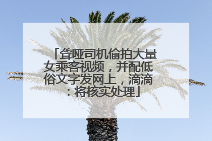 聋哑司机偷拍大量女乘客视频，并配低俗文字发网上，滴滴：将核实处理