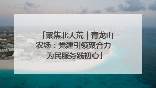 聚焦北大荒｜青龙山农场：党建引领聚合力 为民服务践初心