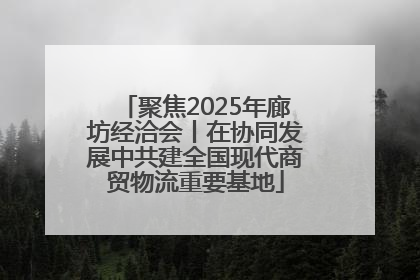 聚焦2025年廊坊经洽会丨在协同发展中共建全国现代商贸物流重要基地