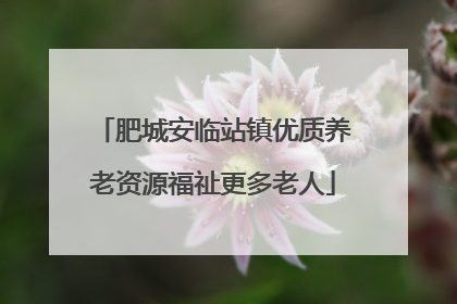肥城安临站镇优质养老资源福祉更多老人