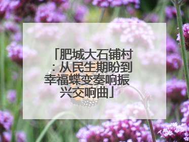 肥城大石铺村：从民生期盼到幸福蝶变奏响振兴交响曲