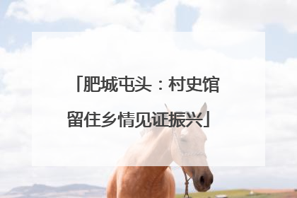 肥城屯头：村史馆留住乡情见证振兴