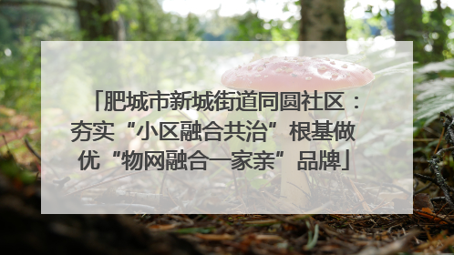 肥城市新城街道同圆社区：夯实“小区融合共治”根基做优“物网融合一家亲”品牌