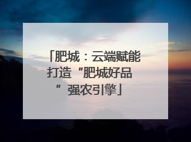 肥城：云端赋能 打造“肥城好品”强农引擎