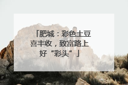 肥城：彩色土豆喜丰收，致富路上好“彩头”
