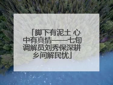 脚下有泥土 心中有真情——七旬调解员刘秀保深耕乡间解民忧