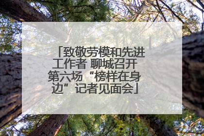 致敬劳模和先进工作者 聊城召开第六场“榜样在身边”记者见面会