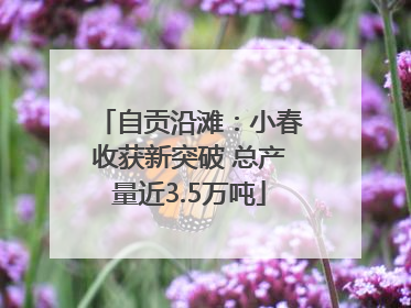 自贡沿滩：小春收获新突破 总产量近3.5万吨