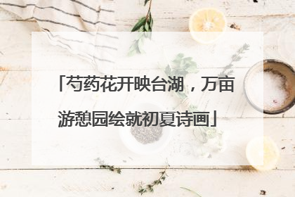 芍药花开映台湖，万亩游憩园绘就初夏诗画