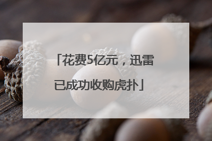 花费5亿元，迅雷已成功收购虎扑