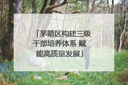 茅箭区构建三级干部培养体系 赋能高质量发展