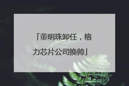 董明珠卸任，格力芯片公司换帅