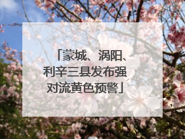 蒙城、涡阳、利辛三县发布强对流黄色预警