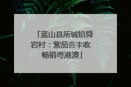 蓝山县所城镇舜岩村：紫茄喜丰收 畅销粤港澳