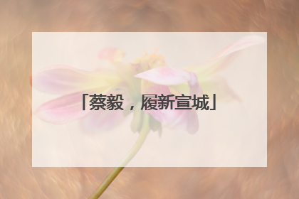 蔡毅，履新宣城