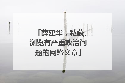 薛建华，私藏、浏览有严重政治问题的网络文章