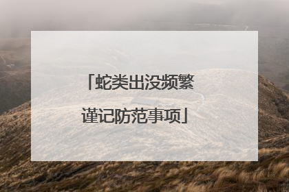 蛇类出没频繁 谨记防范事项