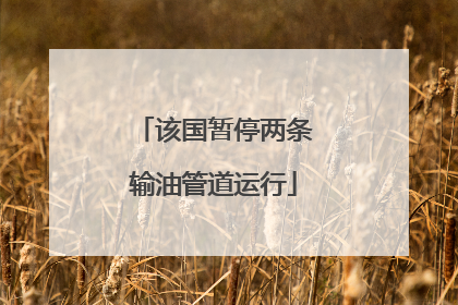 该国暂停两条输油管道运行