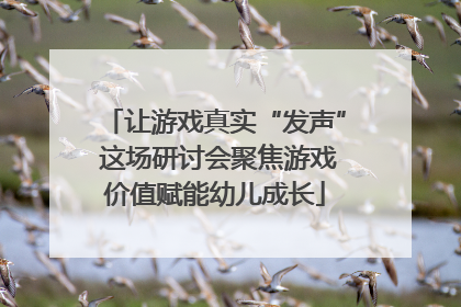 让游戏真实“发声” 这场研讨会聚焦游戏价值赋能幼儿成长