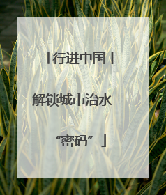 行进中国丨解锁城市治水“密码”