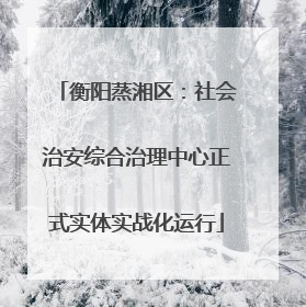 衡阳蒸湘区：社会治安综合治理中心正式实体实战化运行