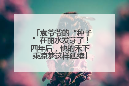 袁爷爷的“种子”在丽水发芽了！四年后，他的禾下乘凉梦这样延续