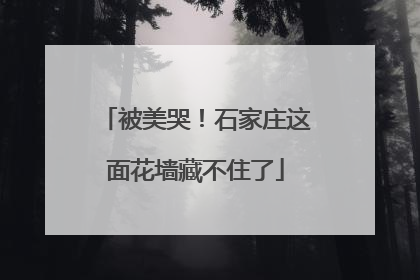 被美哭！石家庄这面花墙藏不住了