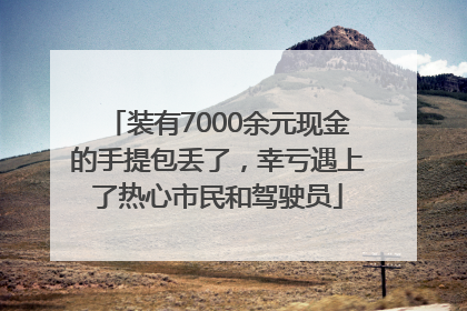 装有7000余元现金的手提包丢了，幸亏遇上了热心市民和驾驶员