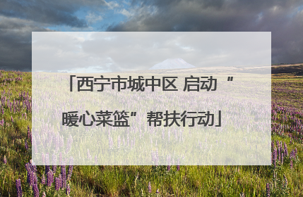 西宁市城中区 启动“暖心菜篮”帮扶行动