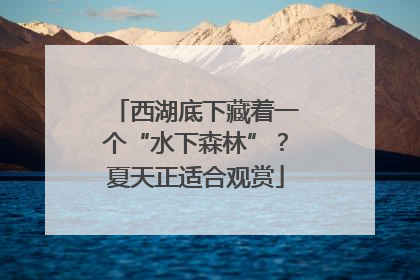 西湖底下藏着一个“水下森林”？夏天正适合观赏