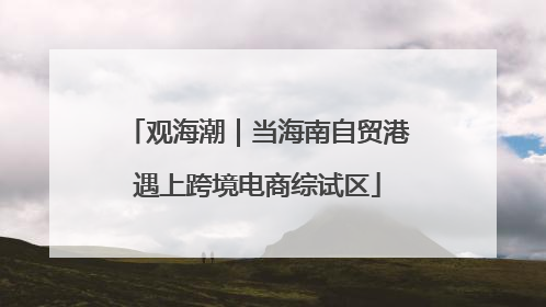 观海潮｜当海南自贸港遇上跨境电商综试区