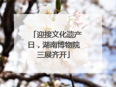 迎接文化遗产日，湖南博物院三展齐开