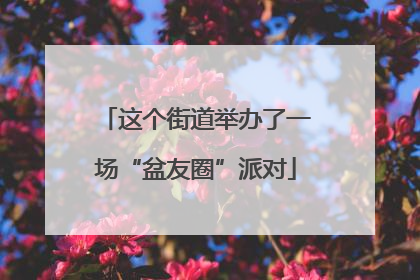 这个街道举办了一场“盆友圈”派对