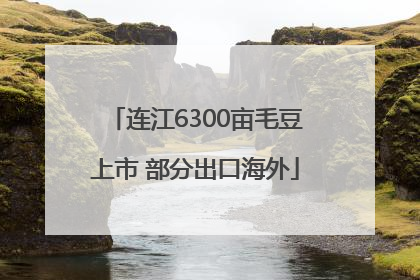 连江6300亩毛豆上市 部分出口海外