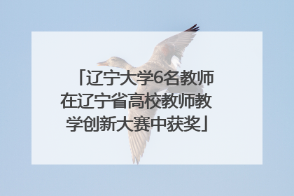 辽宁大学6名教师在辽宁省高校教师教学创新大赛中获奖