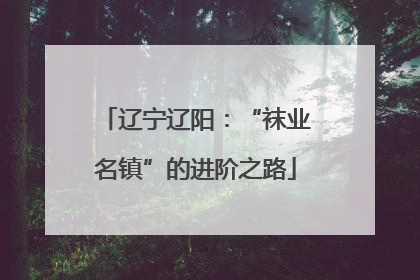 辽宁辽阳：“袜业名镇”的进阶之路