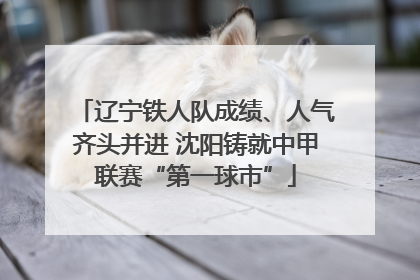 辽宁铁人队成绩、人气齐头并进 沈阳铸就中甲联赛“第一球市”