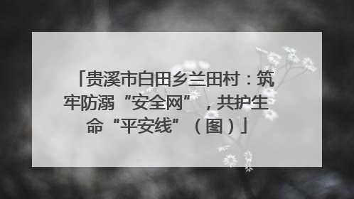 贵溪市白田乡兰田村：筑牢防溺“安全网”，共护生命“平安线”（图）