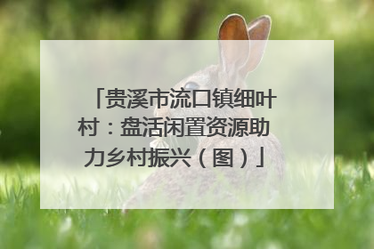贵溪市流口镇细叶村：盘活闲置资源助力乡村振兴（图）