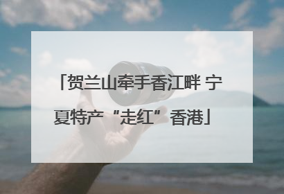 贺兰山牵手香江畔 宁夏特产“走红”香港