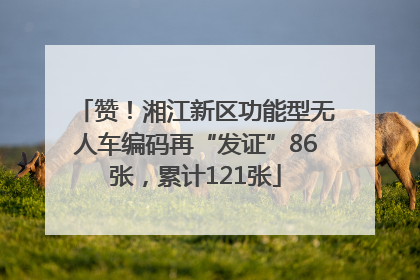 赞！湘江新区功能型无人车编码再“发证”86张，累计121张