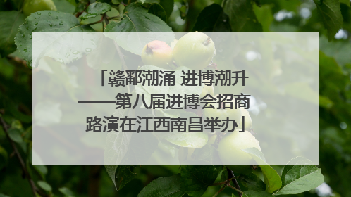 赣鄱潮涌 进博潮升——第八届进博会招商路演在江西南昌举办