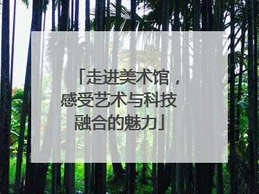 走进美术馆，感受艺术与科技融合的魅力
