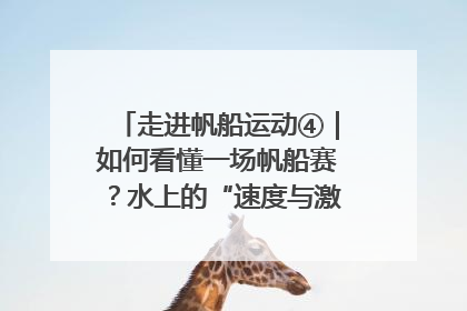 走进帆船运动④｜如何看懂一场帆船赛？水上的“速度与激情”同样精彩