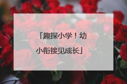 趣探小学！幼小衔接见成长