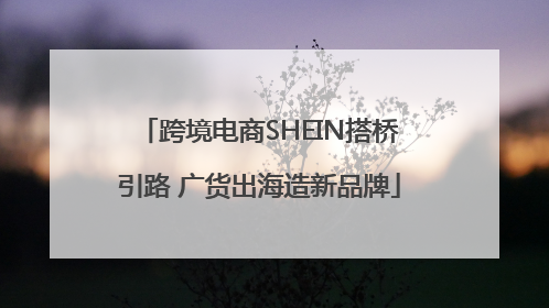 跨境电商SHEIN搭桥引路 广货出海造新品牌